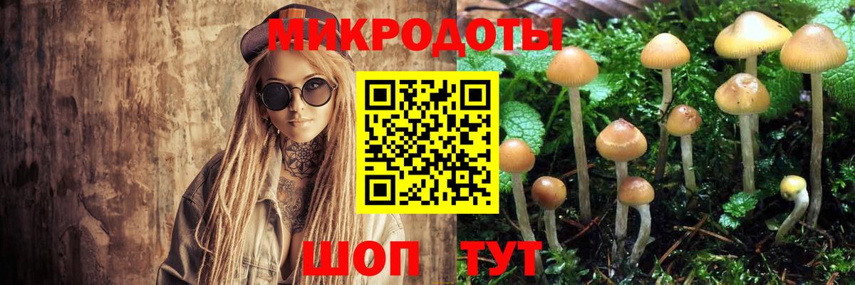 Галлюциногенные грибы прущие грибы  Вход с VPN  Балтийск 