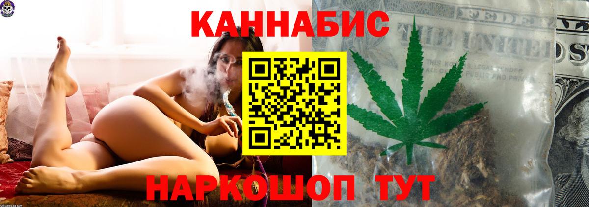 МАРИХУАНА сатива Балтийск